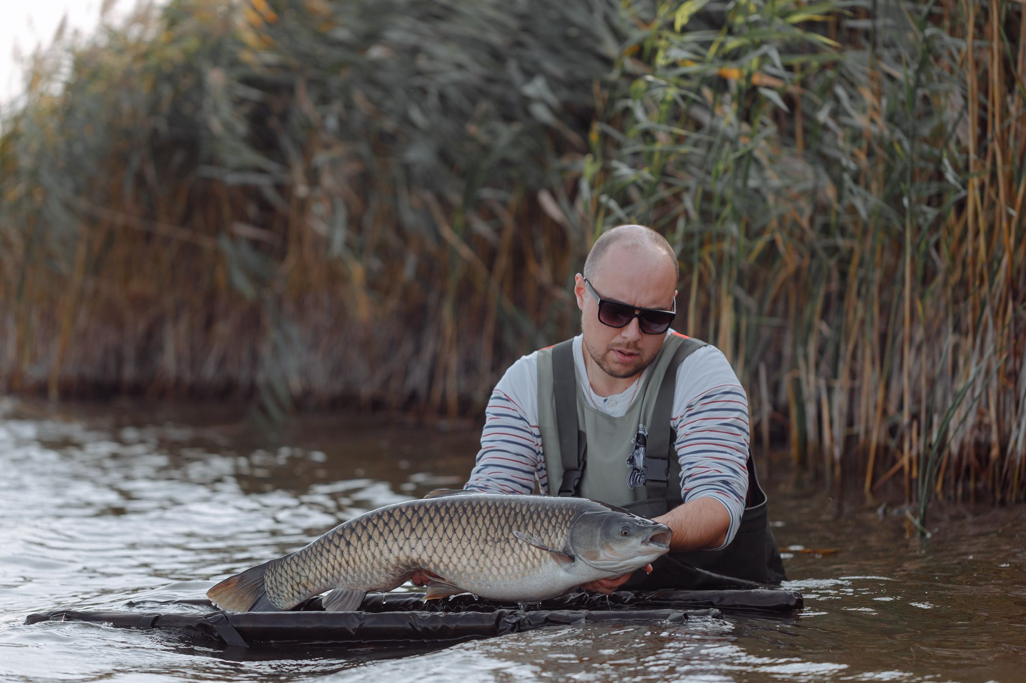 Polarized Lenses Make it Easier to Sight Fish When Fly Fishing