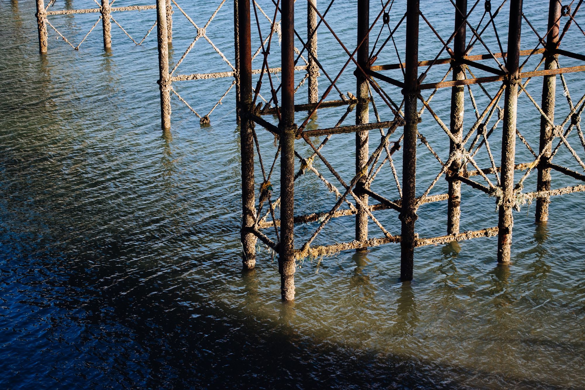 Sight Fishing Near the Surface Requires Polarized Lenses to Cut the Glare from the Water