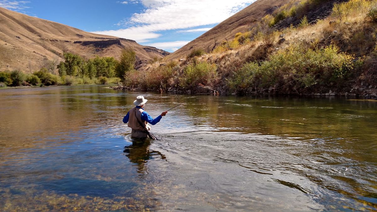 Fly Fishing Vests make Fishing More Efficient